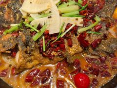 -老板恋上鱼(印象城店)