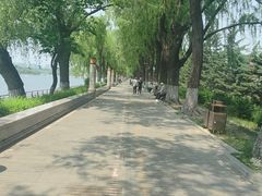 -长春市南湖公园