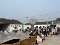 -苏州市吴中区光福窑上花果蜜饯厂