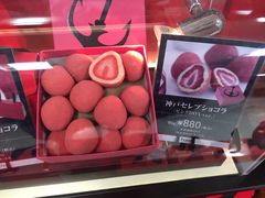 -关西国际机场直营免税店