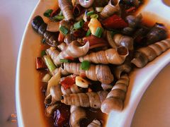 -华盛丰温州大排档(东三环南路店)