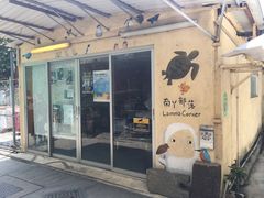 -南丫岛