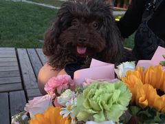 -Supine Bistro溯泮餐厅