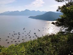 -小皓村