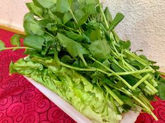 杂菜-光明清汤羊(宝业路店)