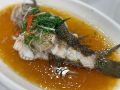 清蒸野生笋壳鱼-瑞福园联谊餐室(茂名南路店)