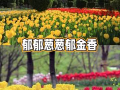 -北京世界公园