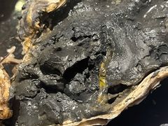 -韩盛炭火烤肉(万达广场店)