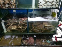 水产区-蚝专家(北滘店)