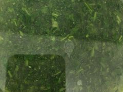 -一盏明灯全素斋(殊像寺店)