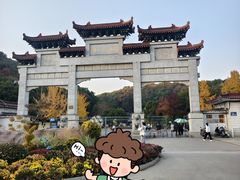 -团城山公园