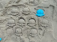 -哈尔滨波塞冬海底世界