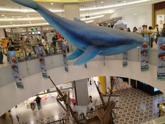 -凯德广场(学府店)