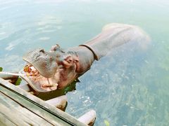 -杭州野生动物世界