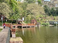 -重庆彩云湖湿地公园