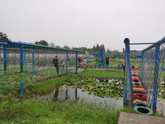 -中国扬子鳄村
