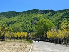 -五台山风景区