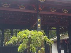 -白鹿洞书院