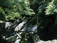 -龙苍沟森林公园
