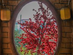 -园林美食城·本土农家菜(杨和镇店)