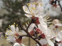 -汉长安城未央宫国家考古遗址公园
