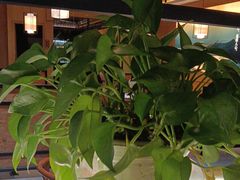 -如轩·海鲜砂锅粥·潮汕菜(南城店)