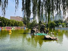 -团结湖公园