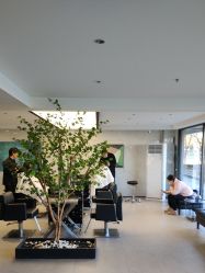 点击看大图 -付军剪艺JF ProSalon