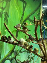 -Zoolung Zoolung动物主题公园(海信广场店)