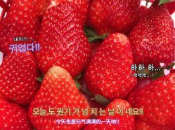 点击看大图 -木子美学