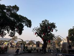 -长洲岛都市农业公园