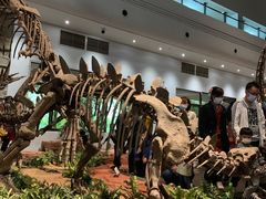 -自贡恐龙博物馆