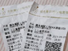 -武商摩尔影城(国广IMAX激光店)