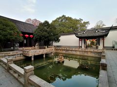 -上海醉白池公园