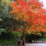 潭水深20m，清澈无比