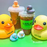 谁能拒绝的了可爱的鸭鸭[调皮][调皮]