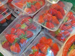 -果唯伊(共和新路店)