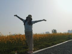 -汉长安城未央宫国家考古遗址公园