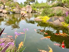 -罗红摄影艺术馆