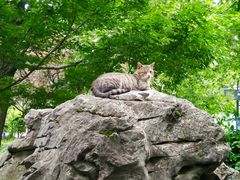 -静安公园(静安寺街道)