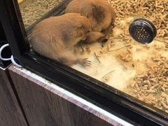 -宠物世家(仲盛世界商城店)