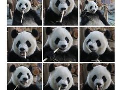 -泉州海丝野生动物世界