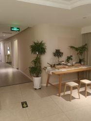 -东英经典SKIN&SPA