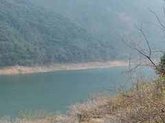 -广州市流溪河国家森林公园