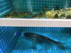 -元银甲·湖北地标美食(汉阳店)