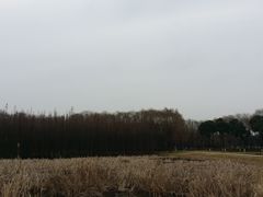 -昆山城市生态森林公园