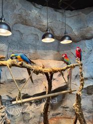 -Zoolung Zoolung动物主题公园(海信广场店)