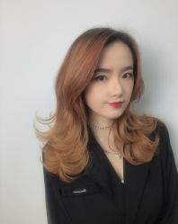 -藤野造型