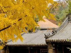 -潭柘寺景区