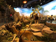 -陕西自然博物馆